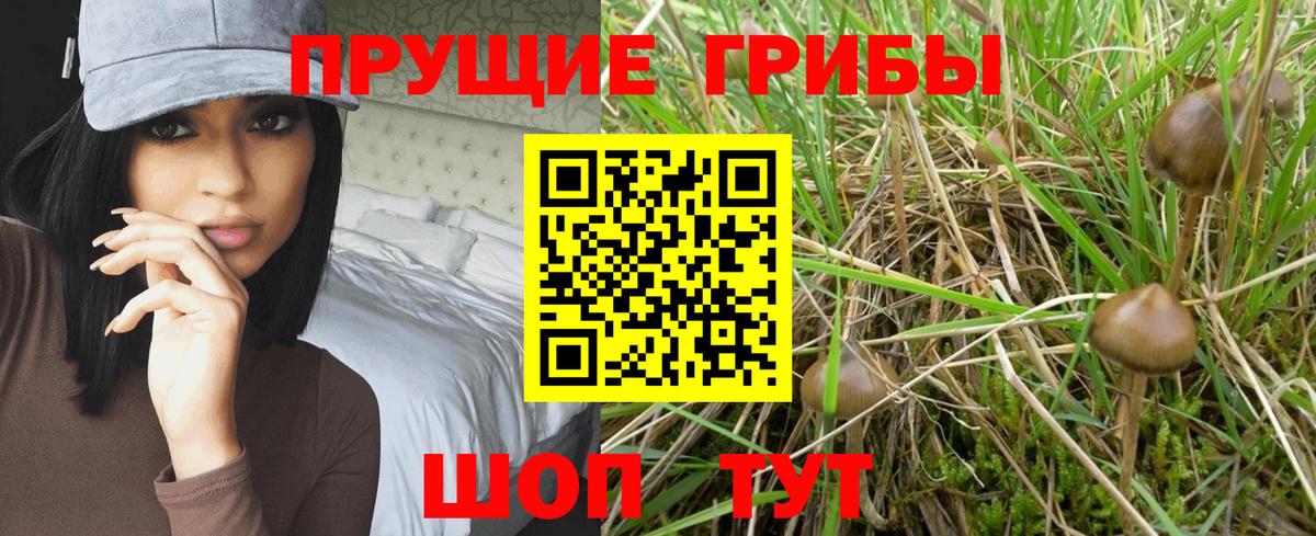 Псилоцибиновые грибы Psilocybine cubensis  Вход с VPN  Пушкино 